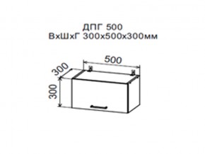 Шкаф верхний ДПГ500 горизонтальный в Когалыме - kogalym.магазин96.com | фото