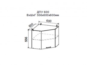 Шкаф верхний ДПУ600 угловой в Когалыме - kogalym.магазин96.com | фото